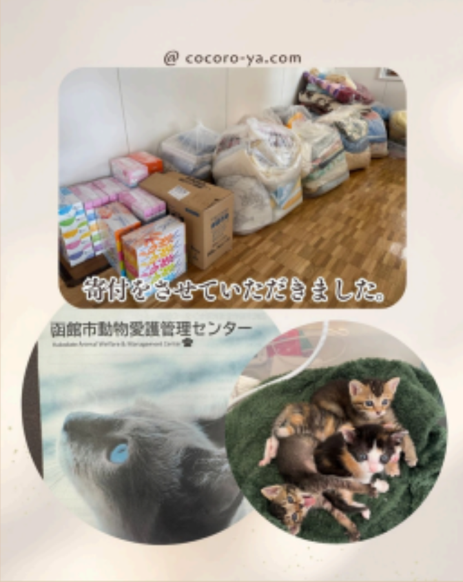 動物愛護センターへの寄付