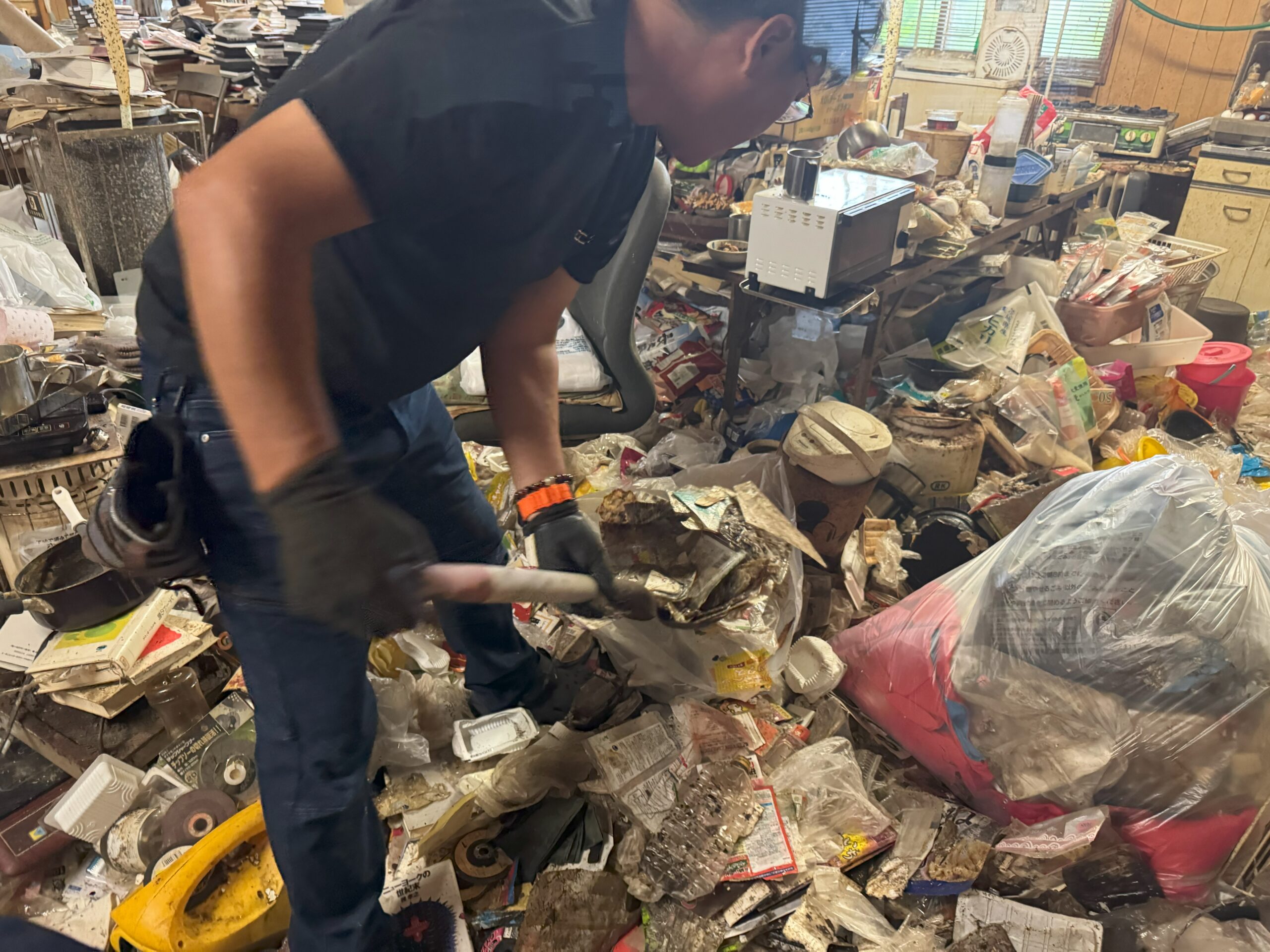 夏場のゴミ屋敷清掃｜北海道で害虫・悪臭対策ならこころ屋へ